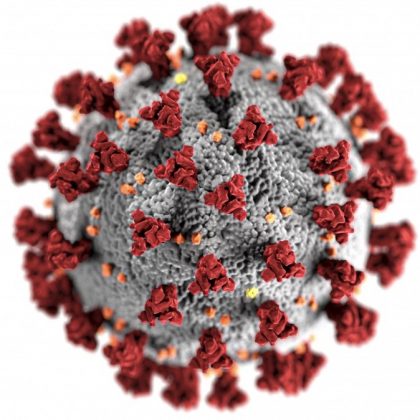 coronavirus